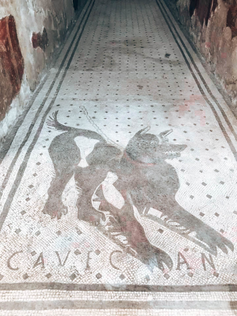 Pompei İtalya Cave Canem