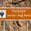 türkiye trakya bağ rotası